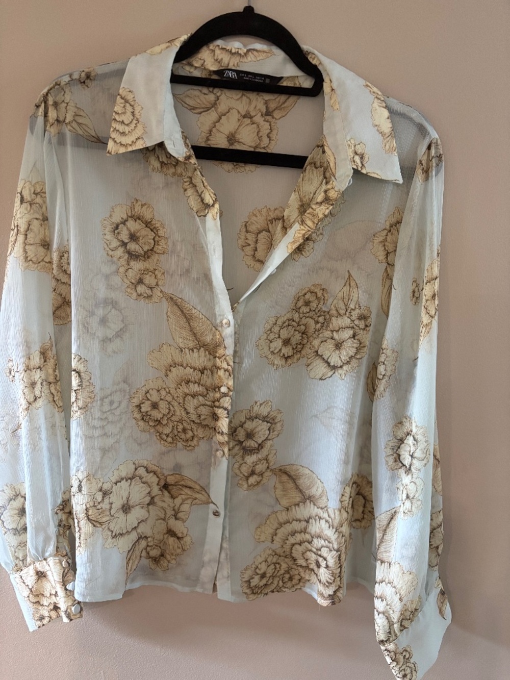 Sheer Blouse